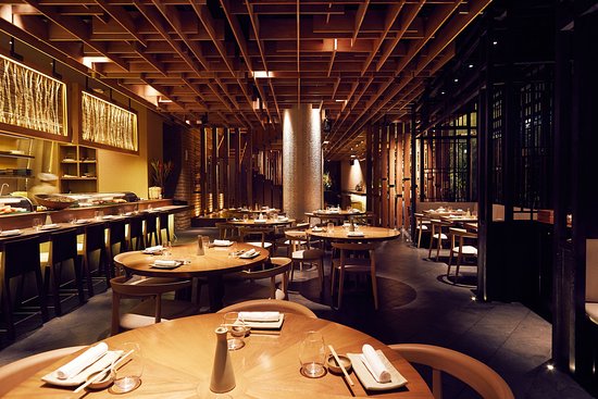 Osaka Pardo y Aliaga