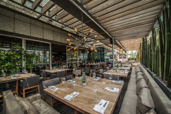 Sonora Prime Insurgentes