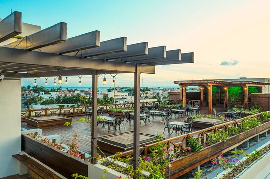 Vino Tinto Restaurant & Bar